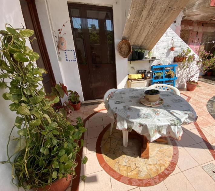 Shaka Guest House Giba Екстериор снимка